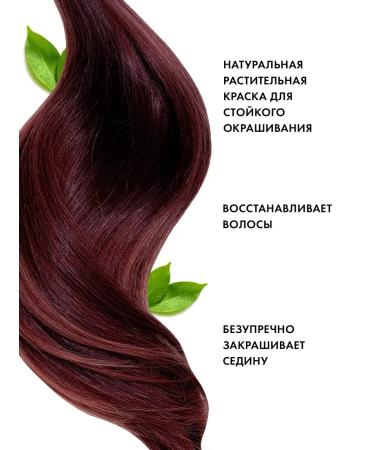 fito cosmetic Hair henna cream natural Indian ripe cherry - Buy Online on GoSupps.com
