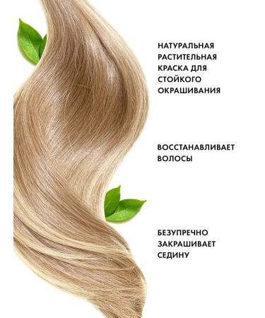 fito cosmetic Hair henna cream natural Indian pearl blond - Buy Online on GoSupps.com
