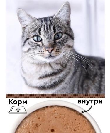 Ekonorm Cat food for a moist paste 100 g 24 pcs of yagn heart - Buy Online on GoSupps.com