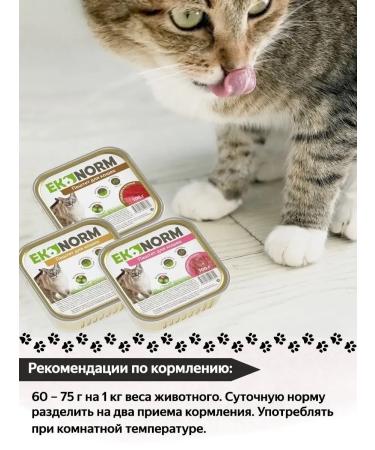 Ekonorm Cat food for a moist paste 100 g 24 pcs of yagn heart - Buy Online on GoSupps.com