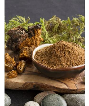 NOYER Chaga Birch natural 100 g - Buy Online on GoSupps.com