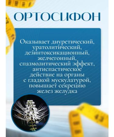 Phytochia tea for weight loss in detox bags is effective - Buy Online on GoSupps.com