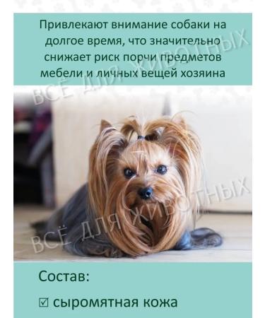 Triol Yugams for dogs of small breeds - Buy Online on GoSupps.com