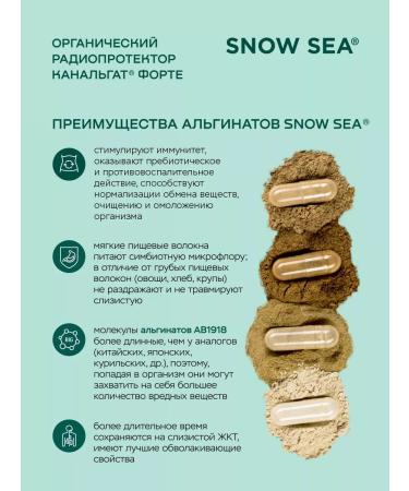 SNOW SEA Kanalgat Organic Enterosorbent 90 cap - Buy Online on GoSupps.com