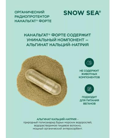 SNOW SEA Kanalgat Organic Enterosorbent 90 cap - Buy Online on GoSupps.com