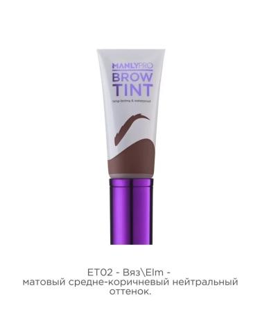 MANLY PRO Tint for eyebrows stable gel fixing