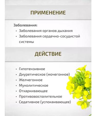 Sage Groundwowns gray grass 30 g Healing herbs Phytochis - Buy Online on GoSupps.com