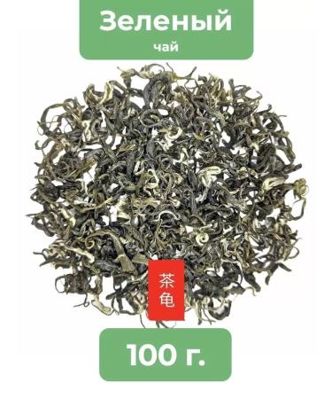 Tea Turtle "Emerald spirals of spring"