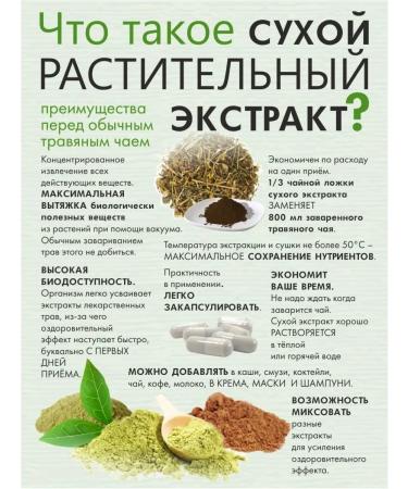 phytokom Altai Chaga birch extract is fast - Buy Online on GoSupps.com