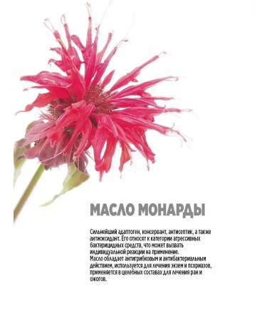 Smart Master Smart pasta Balm is healing oil - Buy Online on GoSupps.com