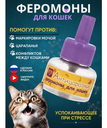 Anti-scratch mittens Cat pheromones soothing under stress