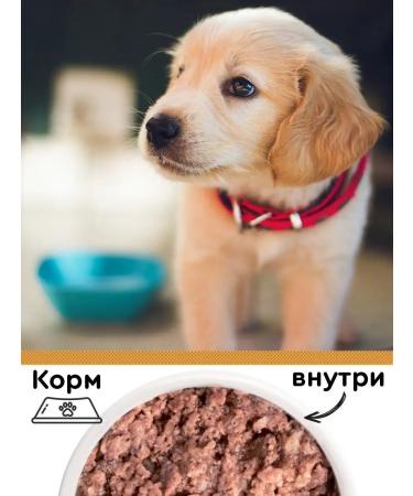 Fourlegged Gourmet Puppy food for moist aid assorted beef 340 g 12 pcs - Buy Online on GoSupps.com