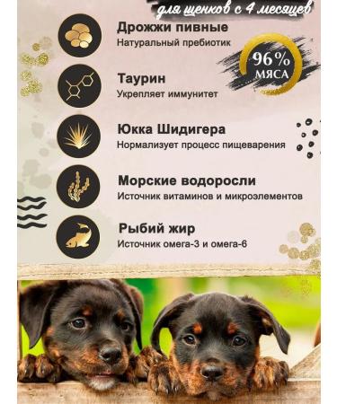 Four-legged Gourmet Puppy food moist Golden Line Tsyne+Rabbit 100g 24pcs - Buy Online on GoSupps.com