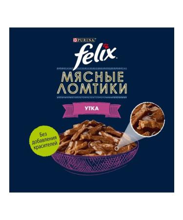 FELIX Spider meat slices for cats with a duck in sauce - 75 g x 26pcs - Buy Online on GoSupps.com
