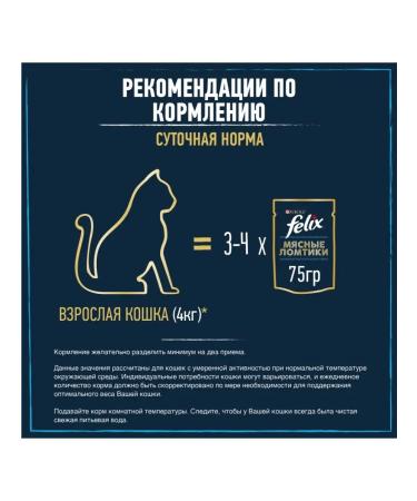 FELIX Spider meat slices for cats with a duck in sauce - 75 g x 26pcs - Buy Online on GoSupps.com