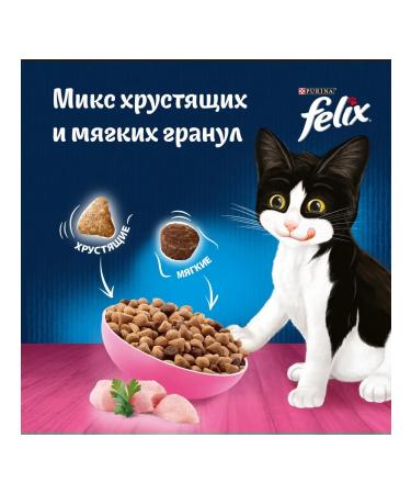 FELIX Dry food double delicious for kittens with chicken - 600 g - Buy Online on GoSupps.com