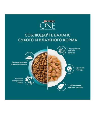 Nestle Purina One Dry food for adult cats with chicken and cereals - 200 g - Buy Online on GoSupps.com