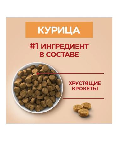 Nestle Purina One Dry food for medium large puppies chicken and rice - 1.8 kg - Buy Online on GoSupps.com