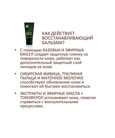 Siberian immunity Restoring balm 30 ml - Buy Online on GoSupps.com