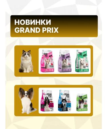 GRAND PRIX Dry food for cats with salmon 0.3 kg - Buy Online on GoSupps.com