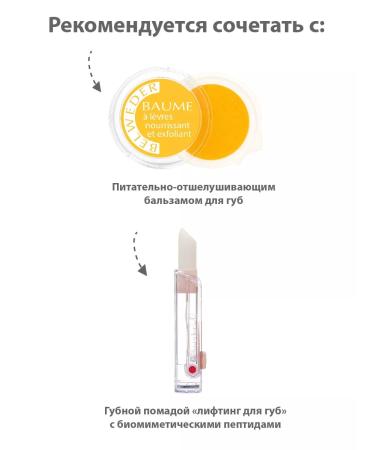 BELWEDER Peptide lip balm elegant tone - Buy Online on GoSupps.com