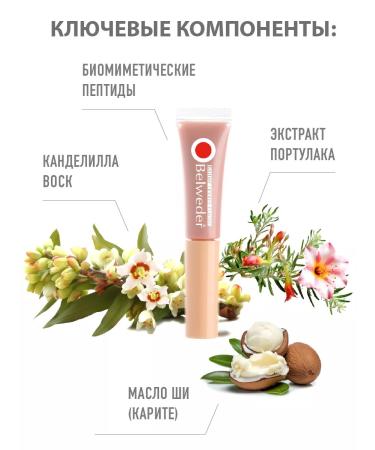 BELWEDER Peptide lip balm elegant tone - Buy Online on GoSupps.com