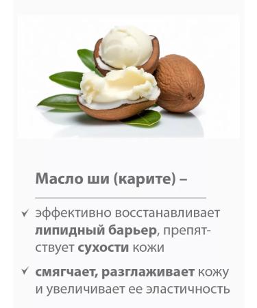 BELWEDER Peptide lip balm elegant tone - Buy Online on GoSupps.com