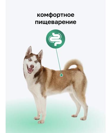 Organix Premium paste with lamb and tongue 15pcs - Buy Online on GoSupps.com