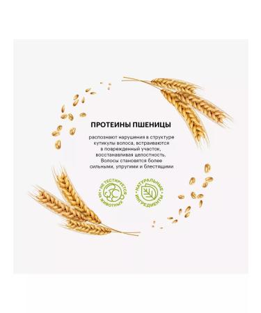 VEGANUP Moisturizer hair balm 230 ml - Buy Online on GoSupps.com