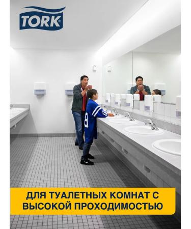 Tork Mild soap in cartridges - Buy Online on GoSupps.com