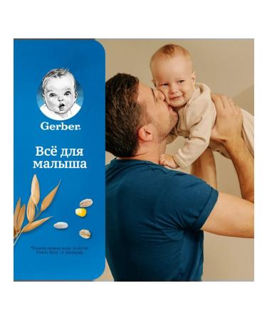 Gerber Silent oatmeal with apple and banana from 6 months 180g - Buy Online on GoSupps.com