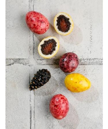 Taiga Territory Bump in chocolate with taiga berries 60g - Buy Online on GoSupps.com