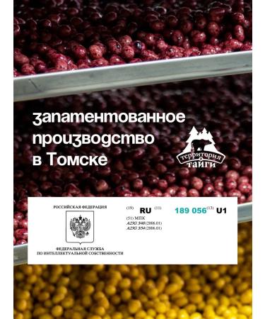 Taiga Territory Bump in chocolate with taiga berries 60g - Buy Online on GoSupps.com
