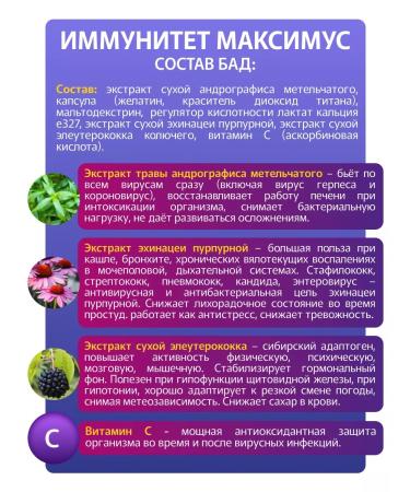phytokom Altai Immunity maximus dietary supplement natural immunomodulator - Buy Online on GoSupps.com