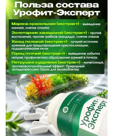 Fitokom Altai Urofit expert dietary supplement for kidneys 60 capsules - Buy Online on GoSupps.com