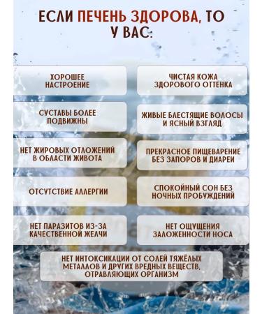 Fitokom Altai Hepato-expert dietary supplement for liver 60 capsules - Buy Online on GoSupps.com