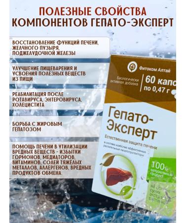 Fitokom Altai Hepato-expert dietary supplement for liver 60 capsules - Buy Online on GoSupps.com