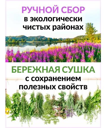 Nenashev Dmitry Viktorovich IP Monastic tea from diabetes collection of herbs (herbal phytochai) - Buy Online on GoSupps.com