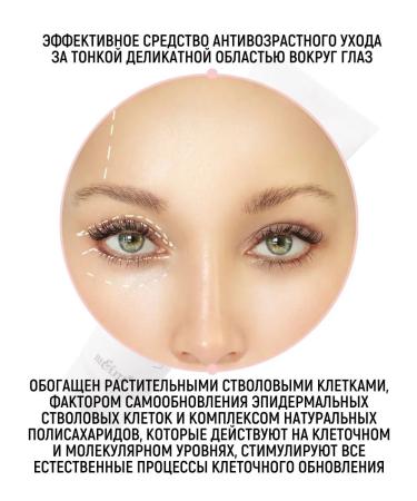 Belita Cream Factor for the eyelids intense anti -aging care - Buy Online on GoSupps.com