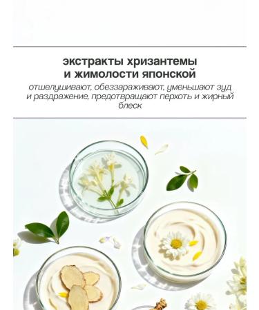 Daeng Gi Meo Ri Hair shampoo strengthening power and shine 500 ml - Buy Online on GoSupps.com