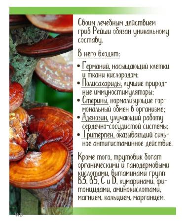 Health Corner Reishi Extract for the heart and blood vessels in capsules - Buy Online on GoSupps.com