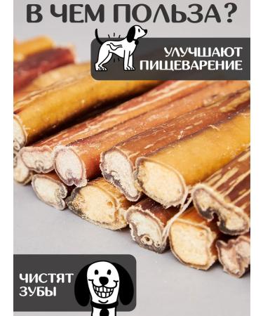 FOR RODENT DOG Dog delicities bull root 10 cm 1000 g - Buy Online on GoSupps.com