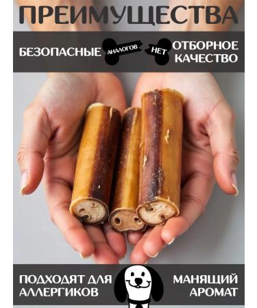 FOR RODENT DOG Dog delicities bull root 10 cm 1000 g - Buy Online on GoSupps.com