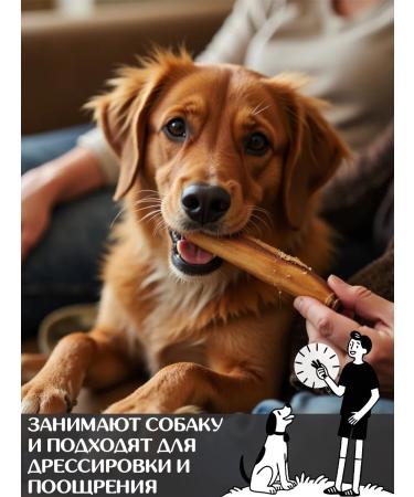 FOR RODENT DOG Dog delicities bull root 10 cm 1000 g - Buy Online on GoSupps.com