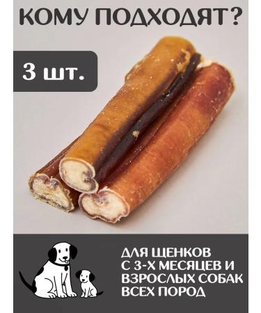 FOR RODENT DOG Dog treats bull root 10 cm 50 g - Buy Online on GoSupps.com