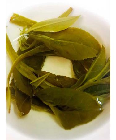 Tea Turtle "The leader of the monkeys from Hou Ken" - Buy Online on GoSupps.com