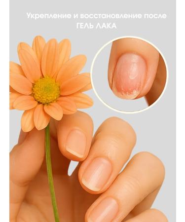 Bandi LAC Tedimental LAC FOR FOR NEN BLUE FORCE - Buy Online on GoSupps.com