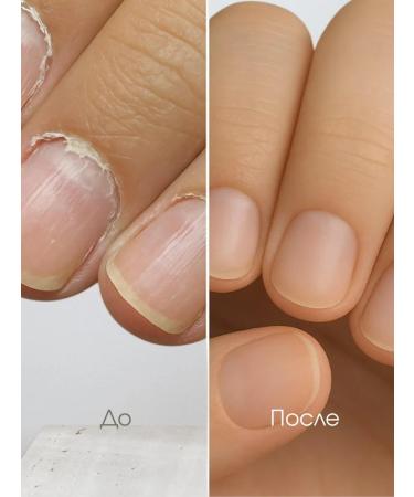 Bandi LAC Tedimental LAC FOR FOR NEN BLUE FORCE - Buy Online on GoSupps.com