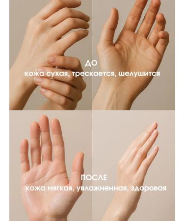 Bandi Nutrum cream "Norwegian deer" Nordic Deer - Buy Online on GoSupps.com