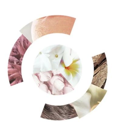 WELLA PROFESSIONALS Wella sp Luxe oil mask to restore keratin 150 ml - Buy Online on GoSupps.com